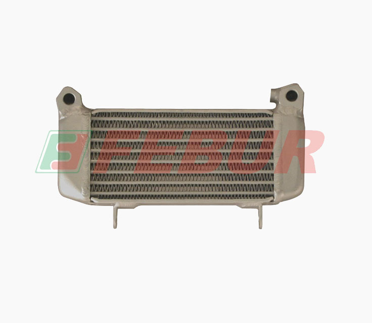 Radiatore OLIO STRADA Ducati MONSTER 600 - 620 - 695 - 750 - 800 - 900 - 1000 - S2R